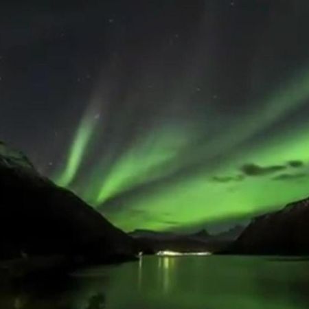Koselig Leilighet I Narvik Sentrum 5 Soveplasser Gratis Parkering Og Gratis Internett Bagian luar foto