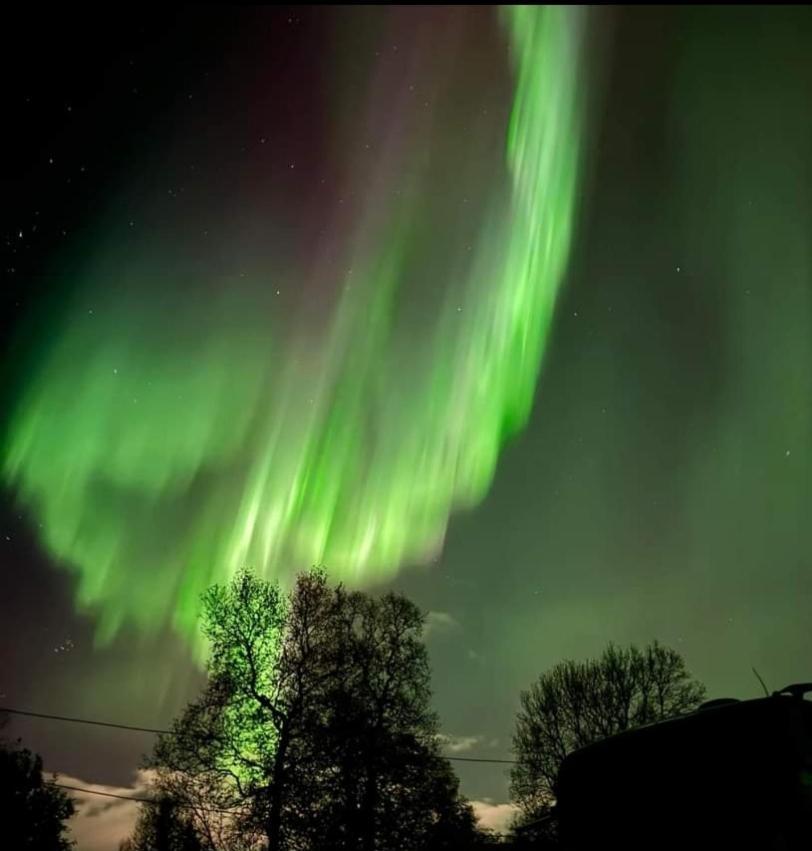 Koselig Leilighet I Narvik Sentrum 5 Soveplasser Gratis Parkering Og Gratis Internett Bagian luar foto