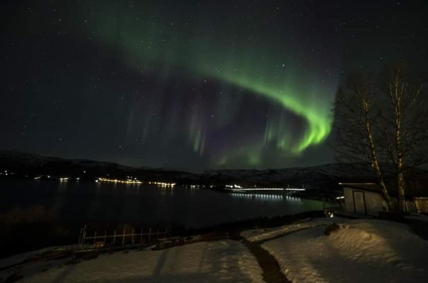 Koselig Leilighet I Narvik Sentrum 5 Soveplasser Gratis Parkering Og Gratis Internett Bagian luar foto